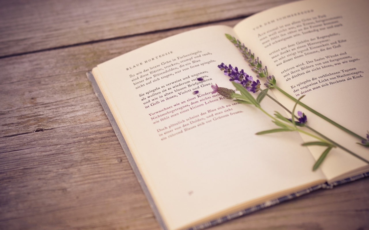 Poetry And Lavender 1280x800