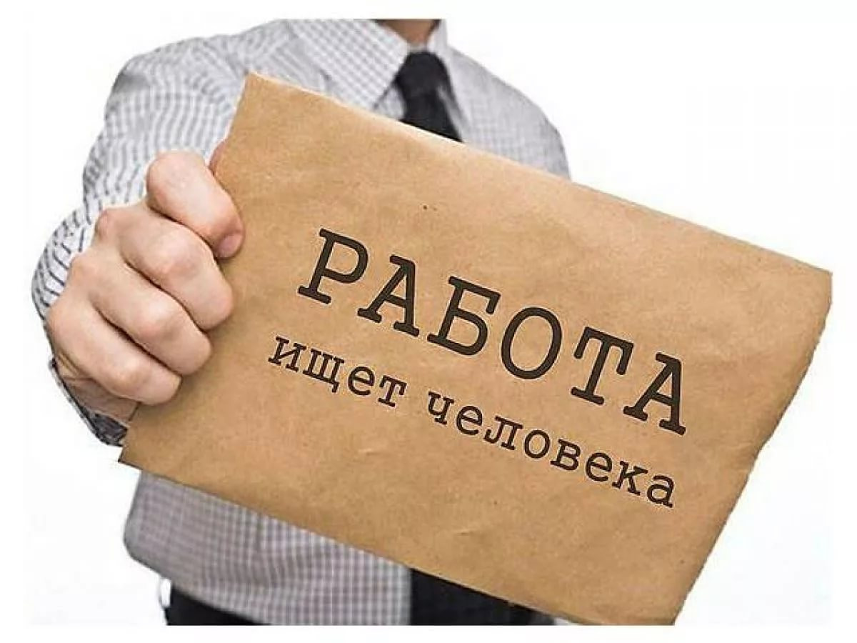 работа ищет