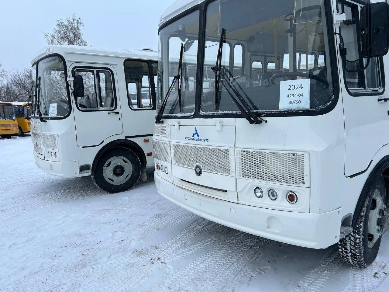 автобусы