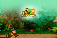 crazy-monkey-2